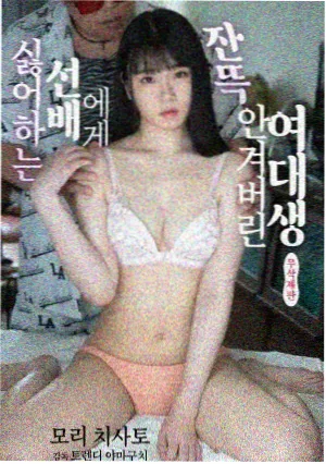 99视频年代剧集旧城手记封面